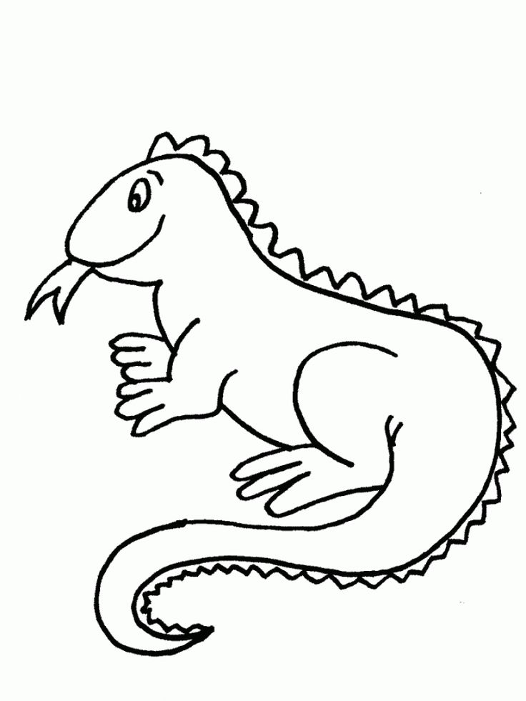 Iguana coloring page animal coloring pages iguana coloring pages