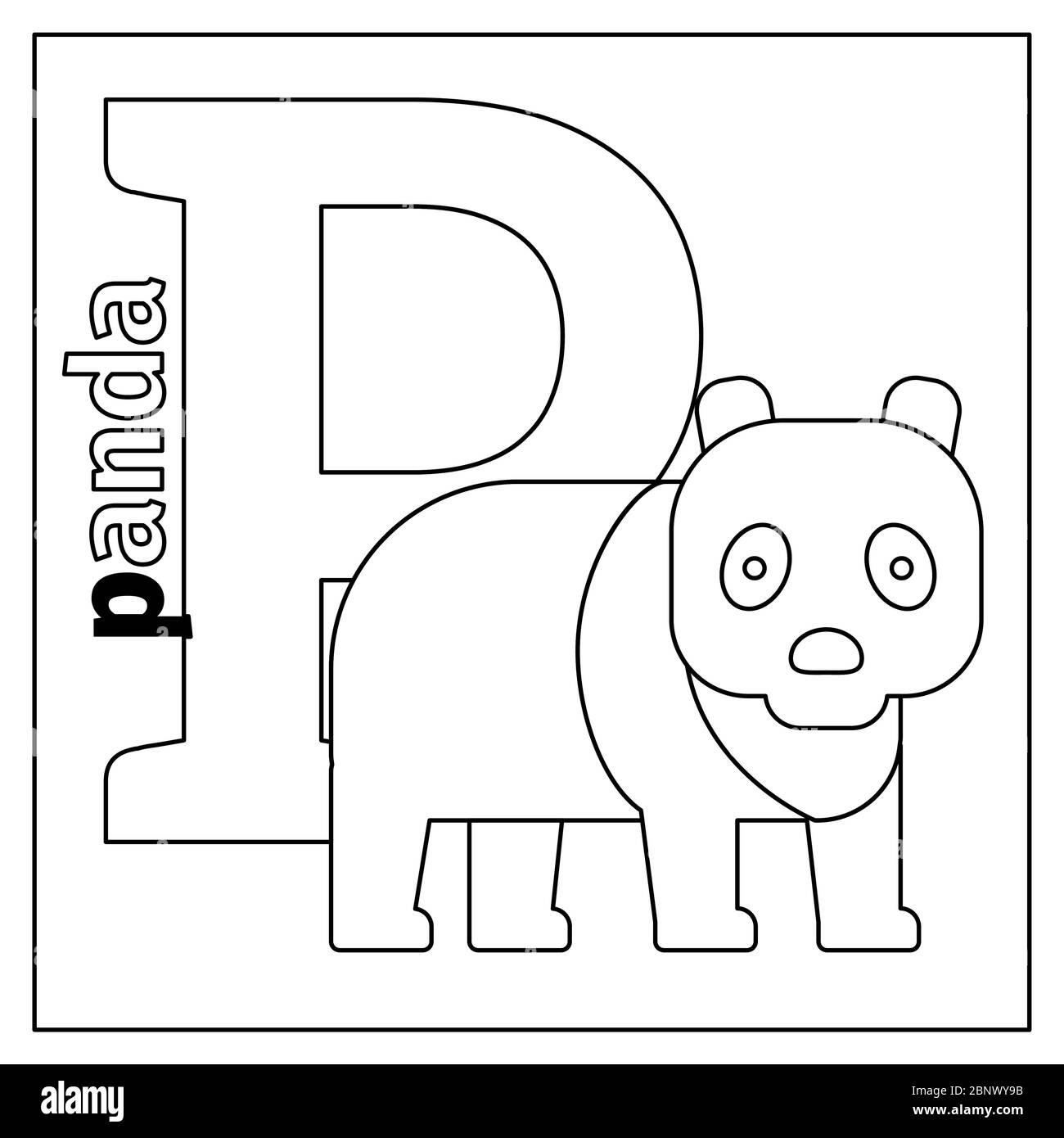 Pãgina para colorear o tarjeta para niãos con el alfabeto inglãs de los animal del zoolãgico panda letra p ilustraciãn vectorial imagen vector de stock