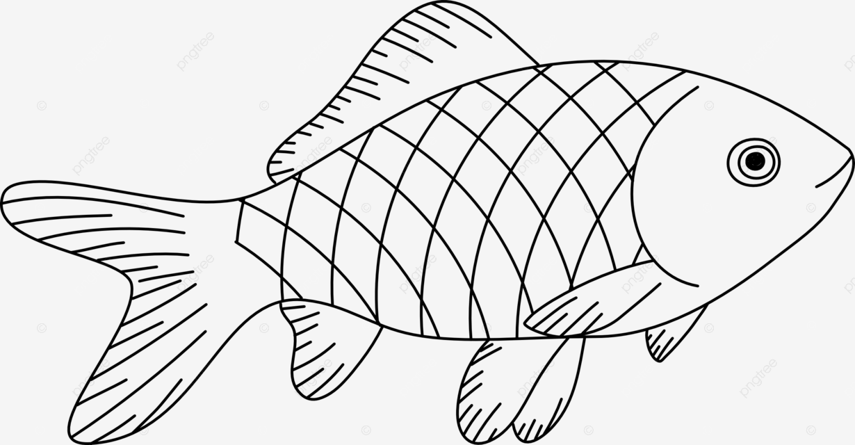 Dibujo de arte lãnea pcado para colorear ilustraciãn vectorial libros png dibujos dibujo de pez dibujo de libro dibujo de rata png y vector para dcargar gratis