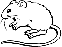 Mouse coloring pages