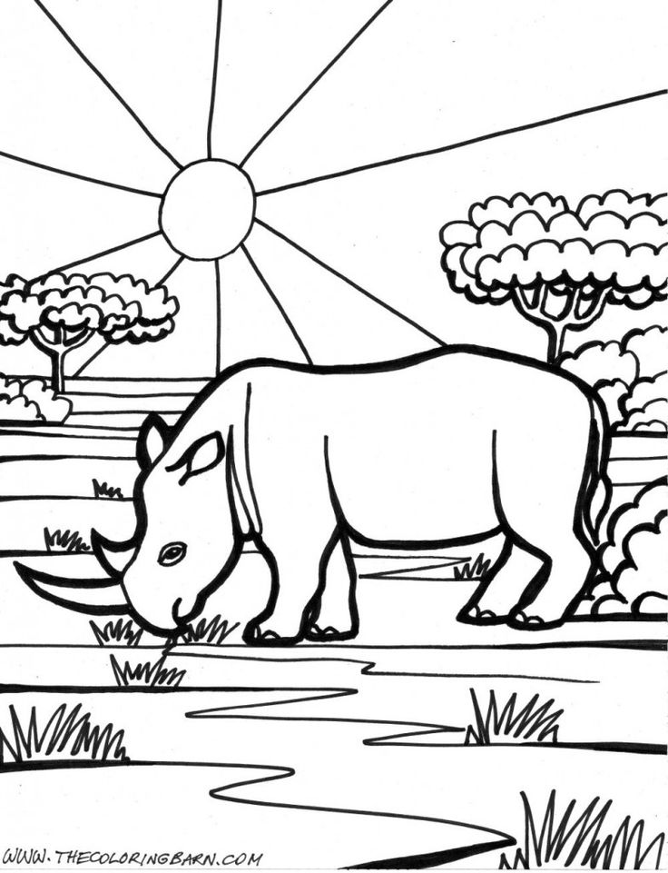 Dibujos de rinocerontes ð rinocerontepedia animal coloring pages elephant coloring page horse coloring pages