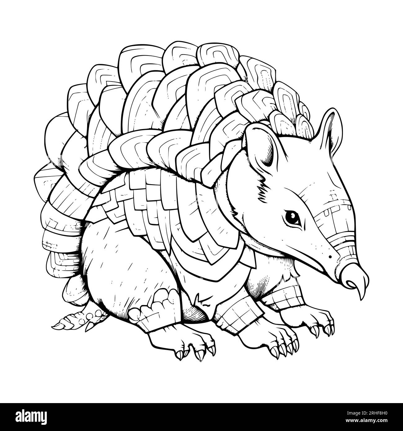 Armadillo coloring page for kids stock vector image art