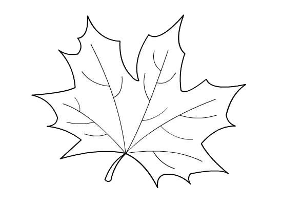 Hojas de otoão dibujos de otoão dibujos hojas
