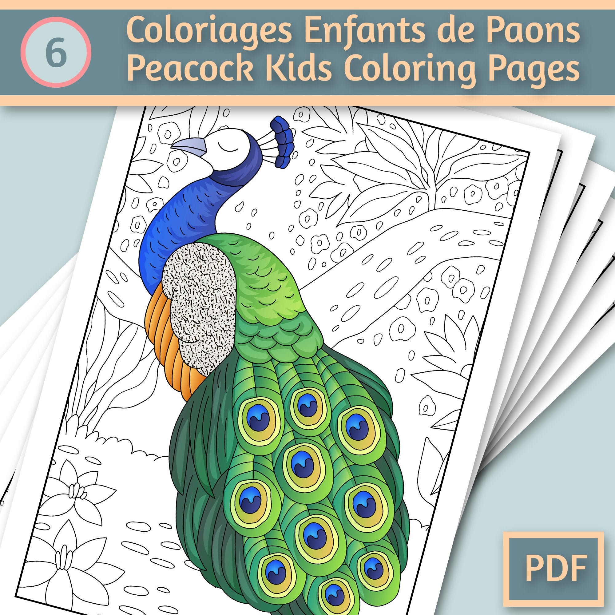 Peacock birds coloring pages for kids coloring book for kids coloring book pdf coloring sheets printable coloring download