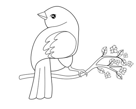 Colouring picture images â browse photos vectors and video