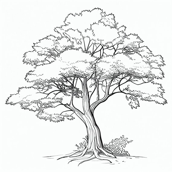 Encantadoras pãginas para colorear de ãrboles para amantes de la naturaleza diseãos ãºnicos imprimir y pintar