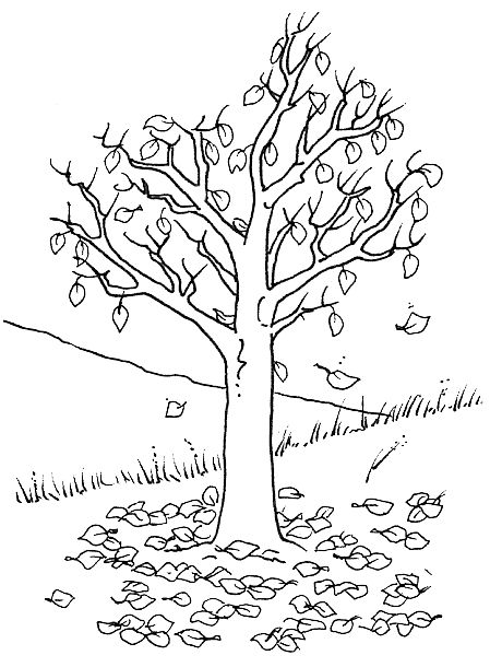 Kolorowanki roåliny coloriage arbre arbre automne coloriage loup