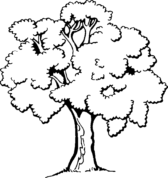 Dibujos para colorear de arboles tree coloring page coloring pages animal coloring pages