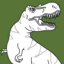 Dinosaur coloring pages