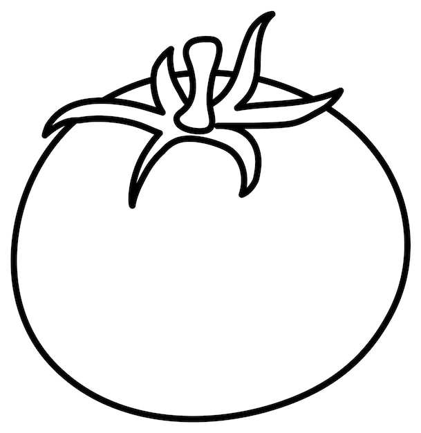 Premium vector tomato doodle outline for colouring