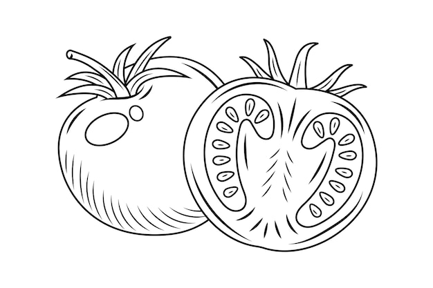 Pãgina imãgen de dibujo tomate