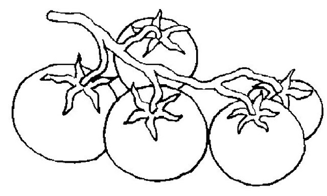 Tomates ricamo disegni pittura porcellana