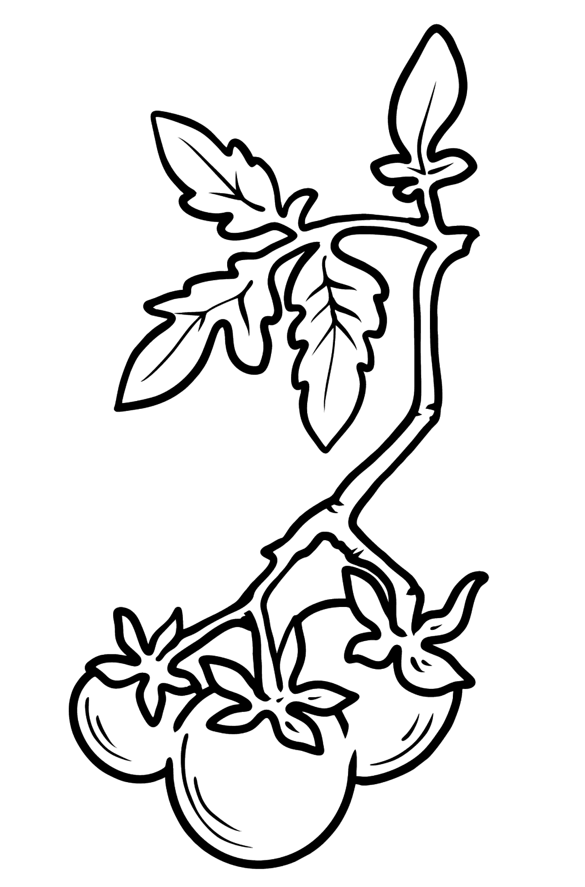 Coloring pages cherry tomato free style coloring page thumbnail