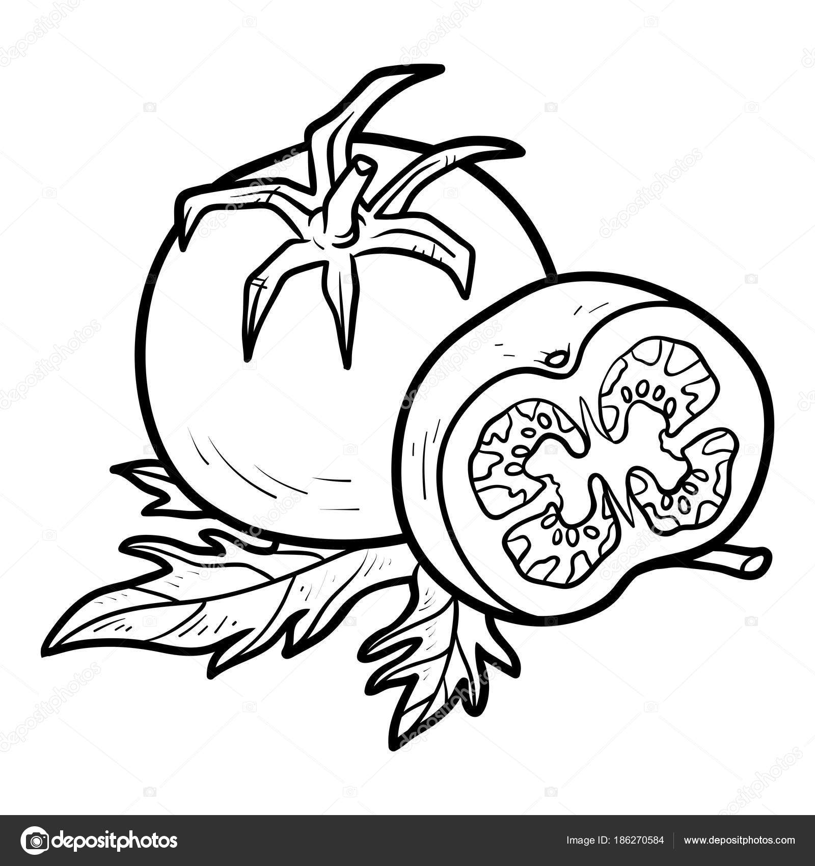 Libro para colorear tomate vector de stock por ksenyasavva