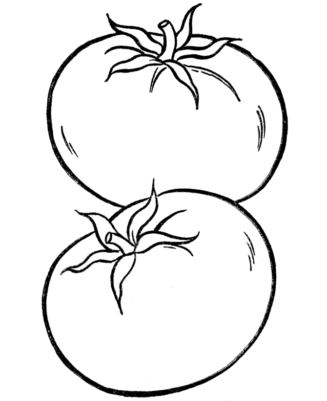 Tomate vegetable colorg pages food colorg pages fruit colorg pages