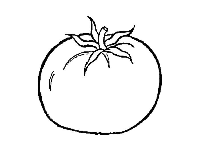 Dibujos de tomates para colorear e imprimir tomates dibujo imprimir sobres dibujos kawaiis