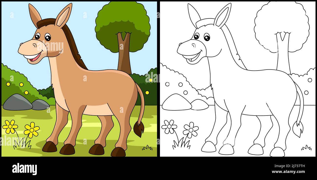 Imagen para colorear de burro fotografãas e imãgen de alta roluciãn