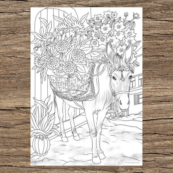 Burro con flores pãgina para colorear para adultos