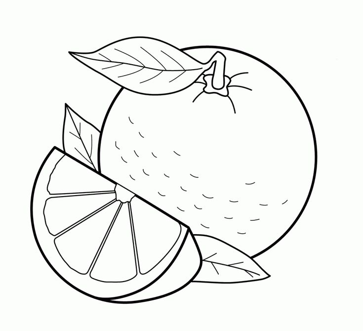 Free printable fruit coloring pages for kids naranja dibujo frutas para colorear pãginas para colorear para imprimir