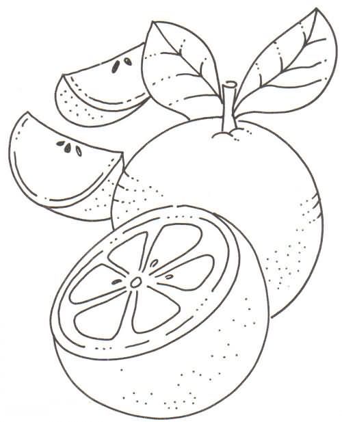 Resultado de imagen para dibujos de naranja pattern coloring pages fruit coloring pages coloring pages