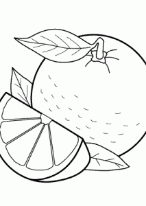 Orange fruits coloring pages for kids printable free naranja dibujo frutas para colorear pãginas para colorear para imprimir