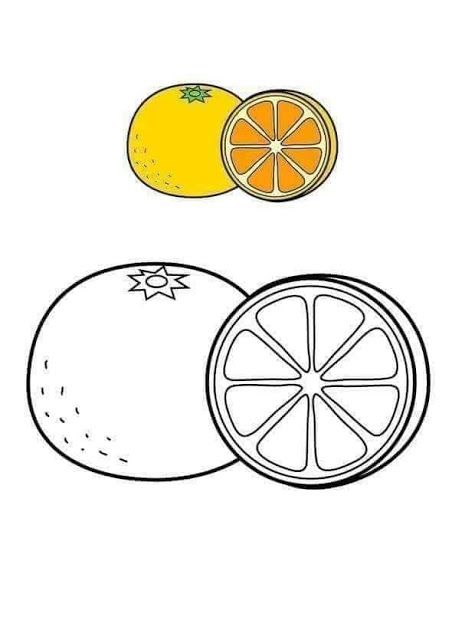 Tareitas naranja fruit coloring pages coloring pages for kids coloring books