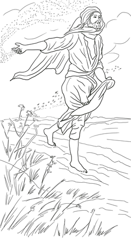 Parable of the sower coloring page free printable coloring pages