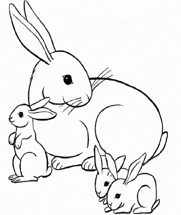 Dibujos de conejos para colorear â imãgen para imprimir y pintar colorear imãgen dibujo de conejo dibujos dibujos para colorear