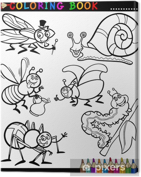 Cuadro en lienzo insectos y bichos para coloring book