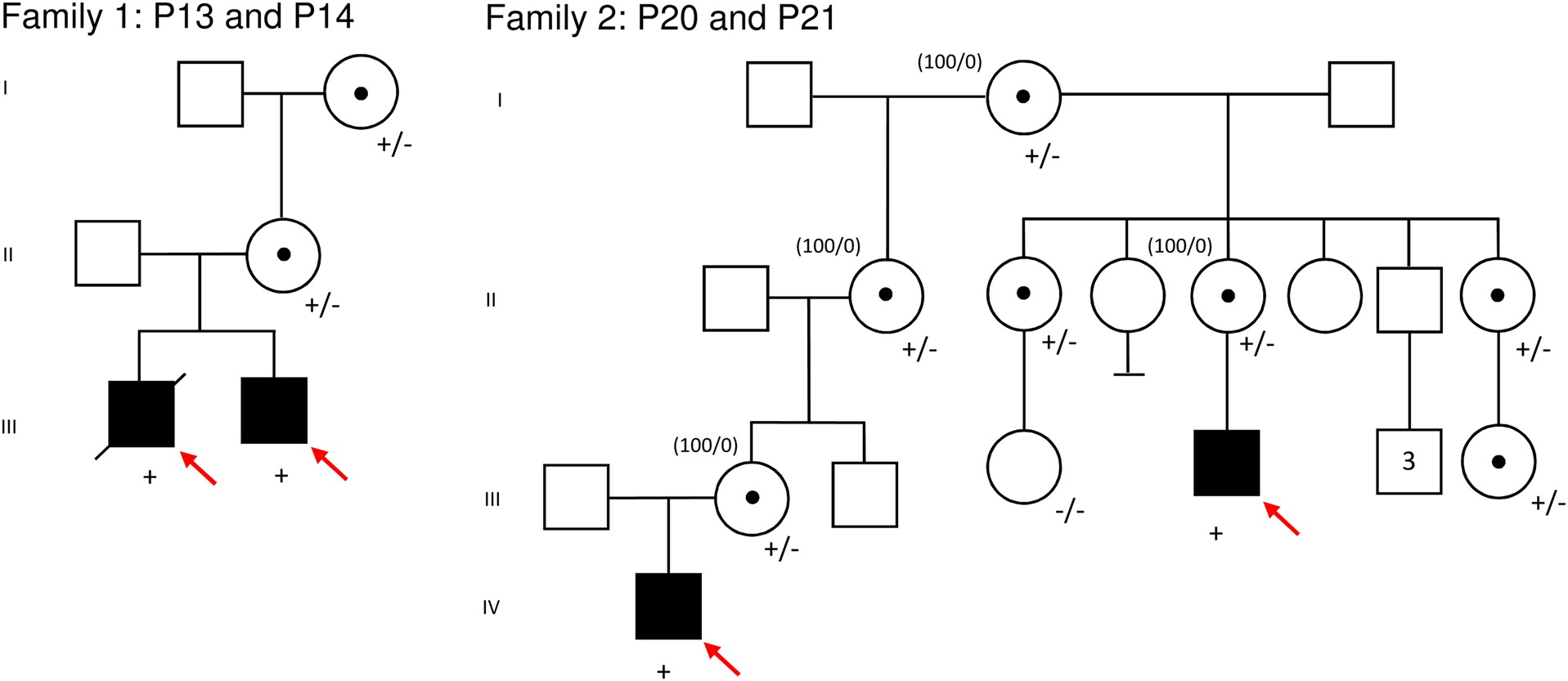 Huwe variants cause dominant x
