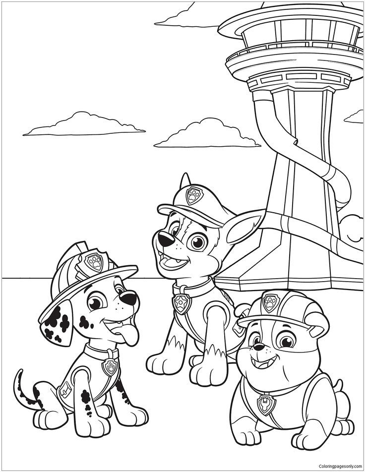 Paw patrol coloring page coloriage pat patrouille dessin pat patrouille coloriage paw patrol