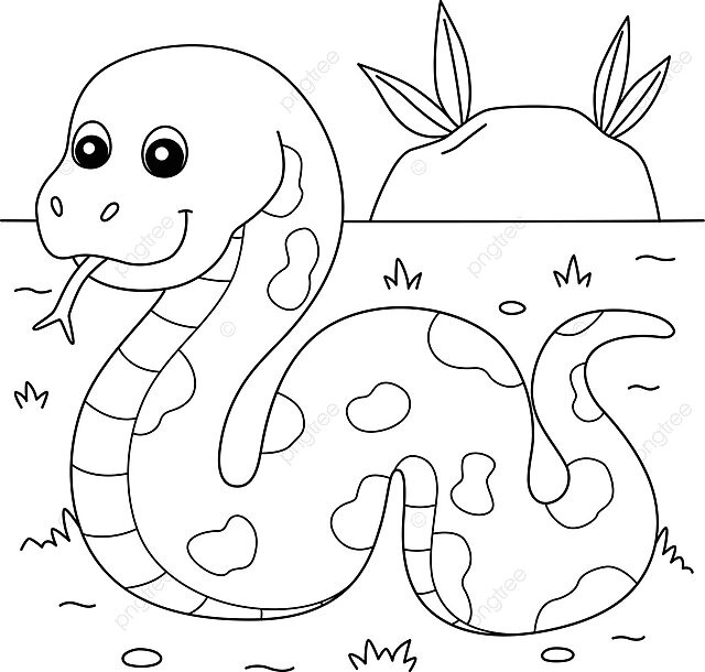 Dibujo de serpiente en el suelo pãgina para colorear niãos ilustraciãn animal fauna naturaleza vector png dibujos dibujo de serpiente dibujo de animal dibujo de rata png y vector para dcargar gratis