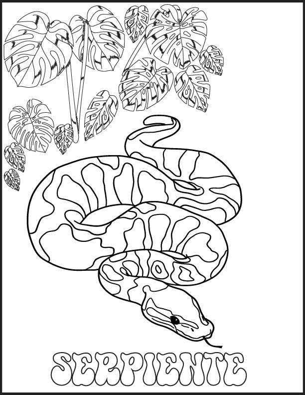 Safari selva animales hojas para colorearsafari jungle coloring pages in spanish made by teachers