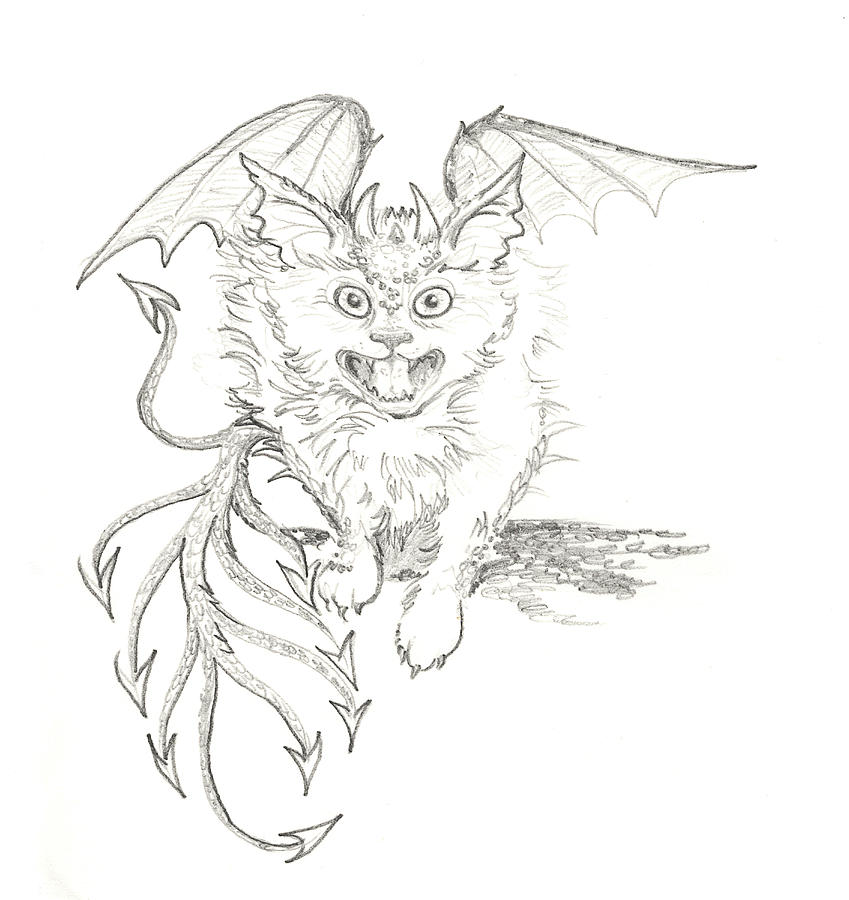 Imp kitten familiar drawing by katherine nutt