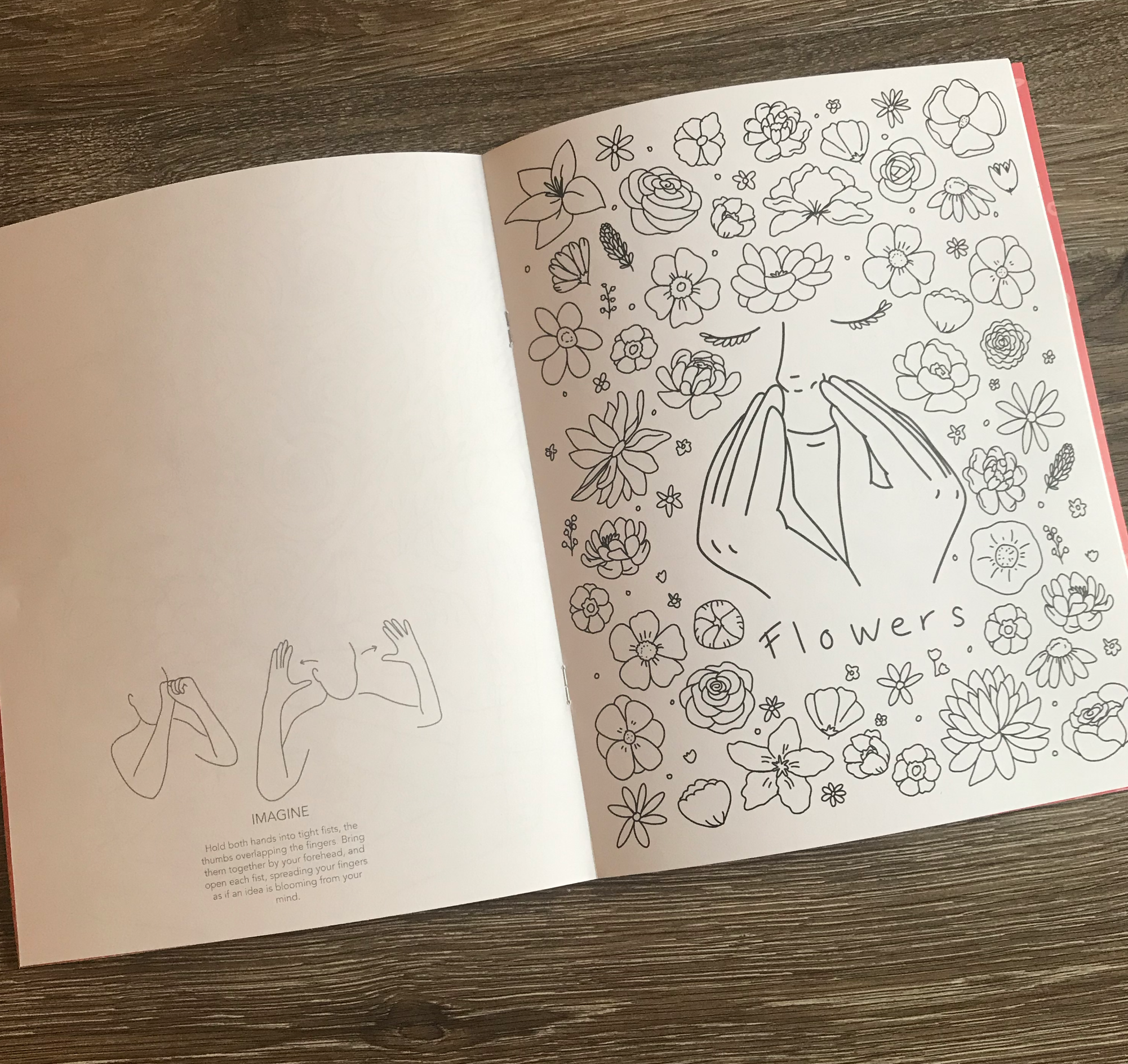 Asl positivity coloring book â creativity