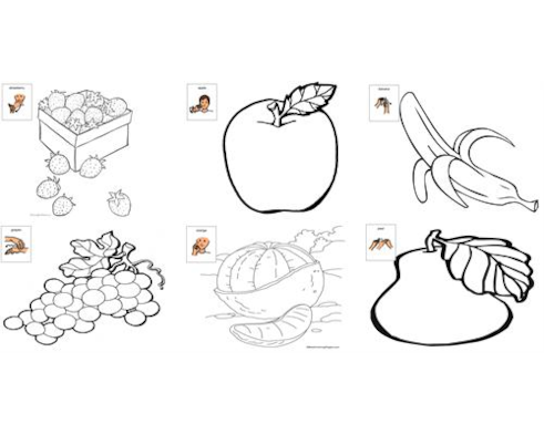 Asl fruit coloring sheets