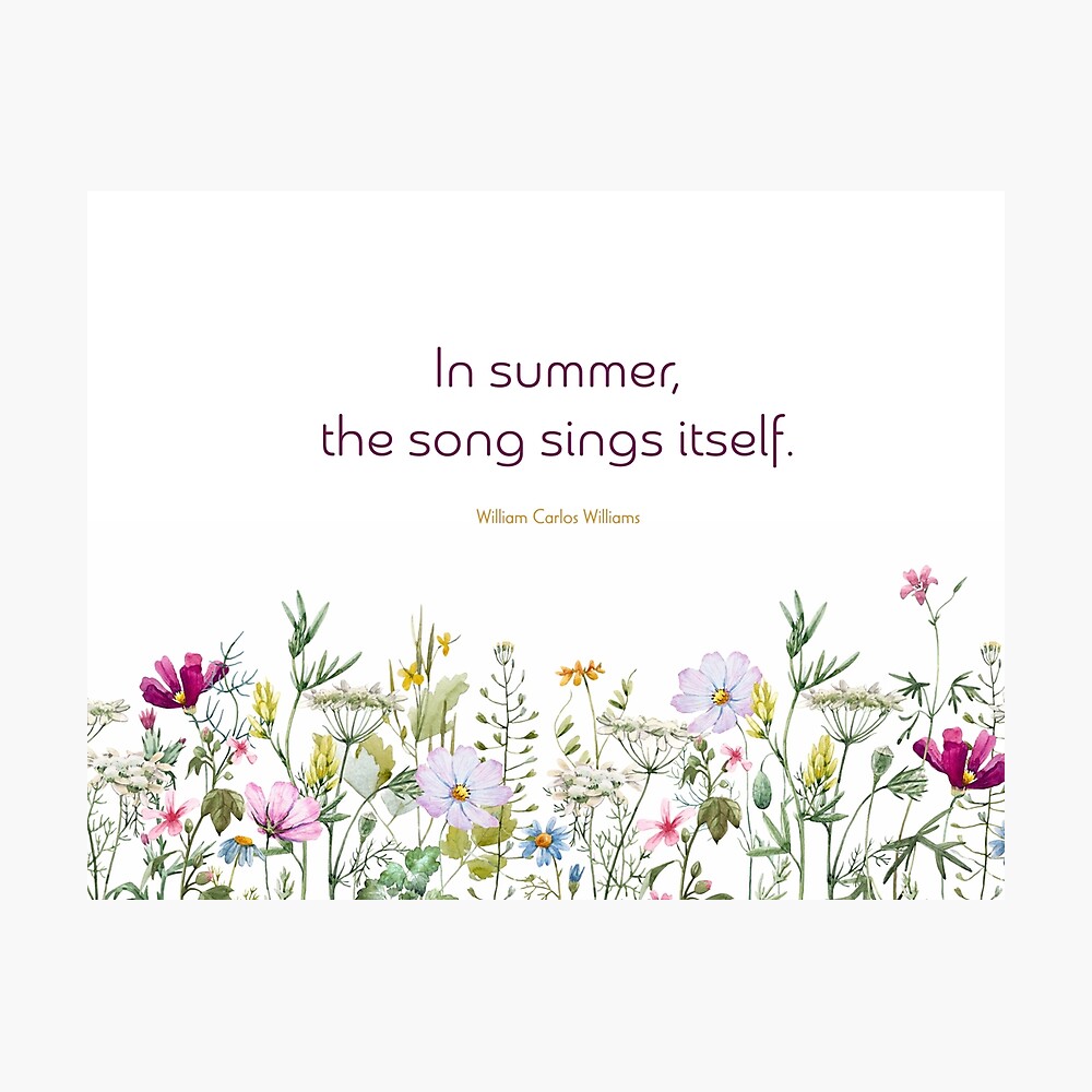 In summer the song sings itself