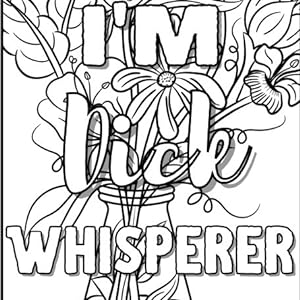 Naughty mind dirty swear word coloring book for adults women curse words coloring pages for her funny bad words quotes for stress relief anson annie books