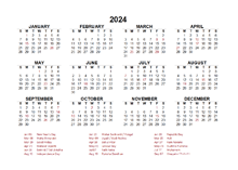 Year at a glance calendar with india holidays