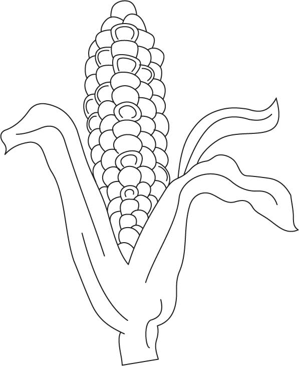Coloring pages indian corn coloring pages