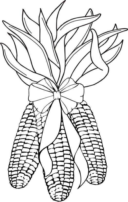 Indian corn