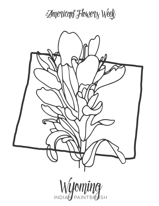State flowers â free coloring pages â american flowers week