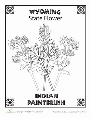 Wyoming state flower worksheet education wyoming state wyoming state symbols