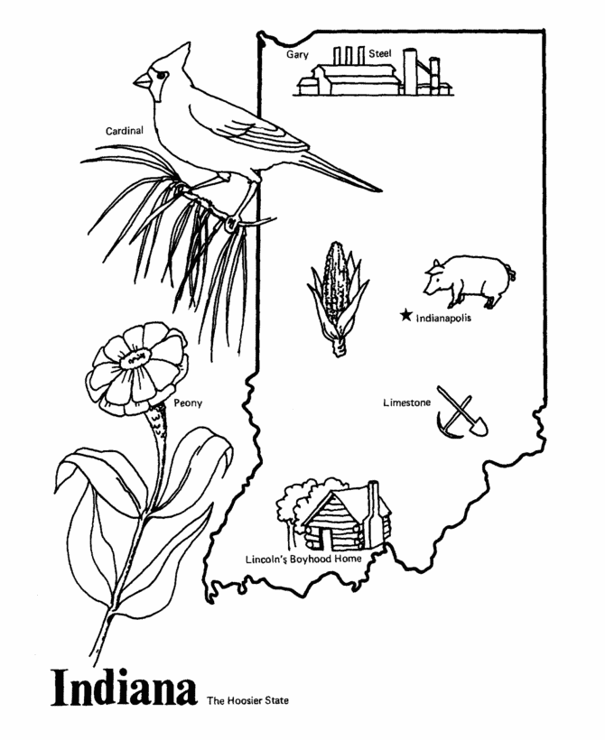 State outline shape and demographic map