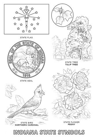 Indiana state symbols coloring page free printable coloring pages flag coloring pages state symbols coloring pages