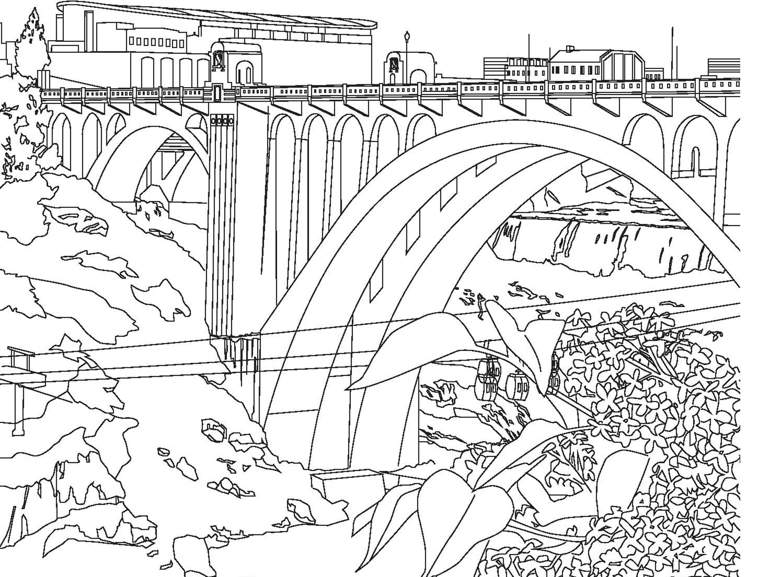 Escape into a world of color adult coloring books are growing source of relaxation the