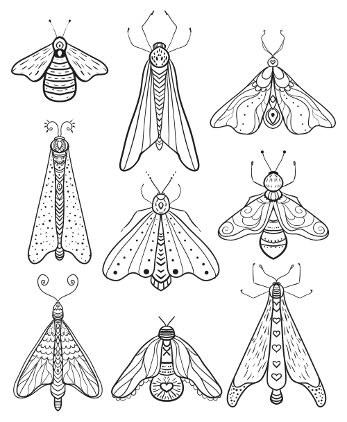 Insect coloring page