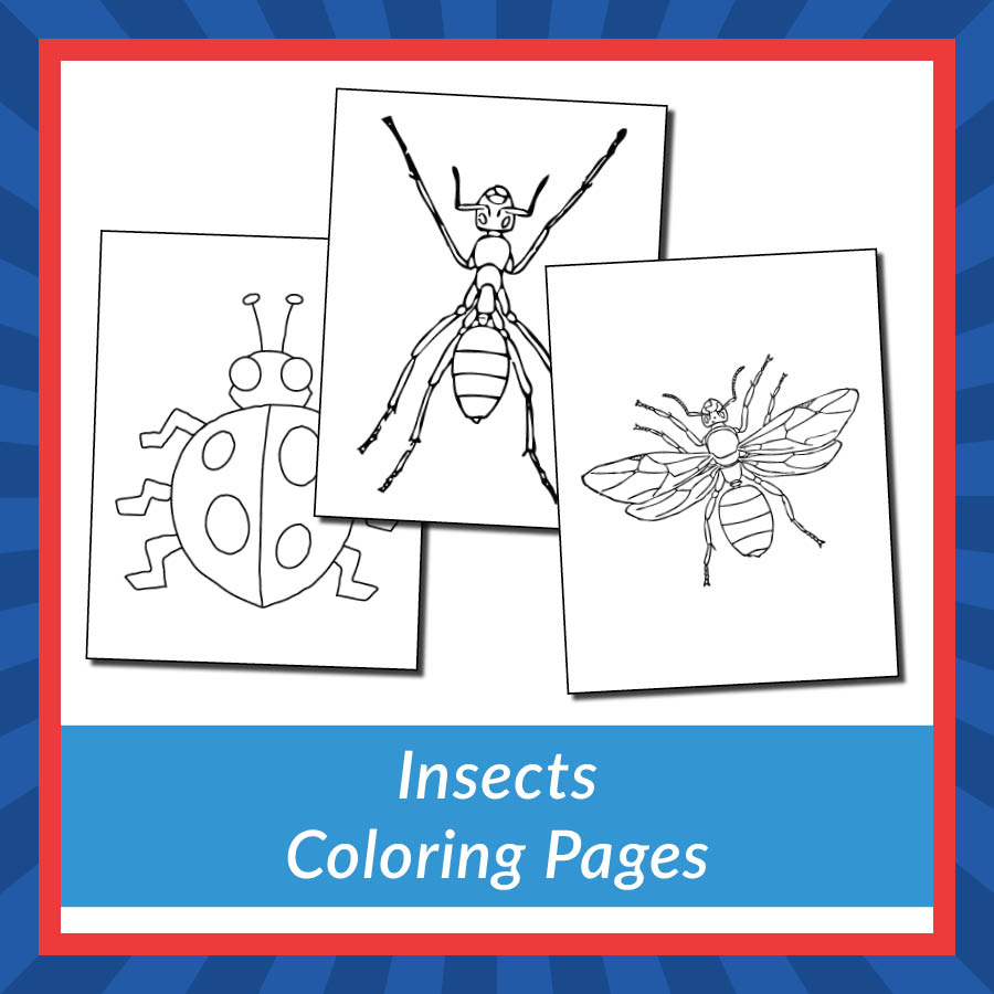 Insects coloring pages