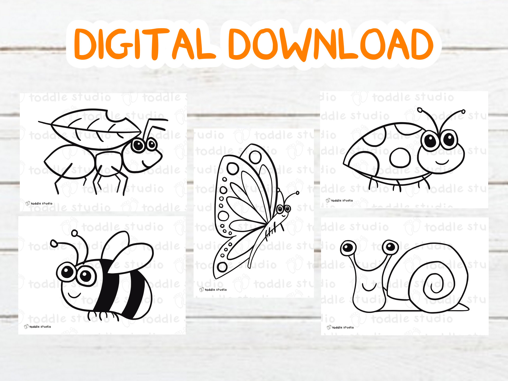 Insects colouring pages digital download printable pdf animal insect baby toddler kids activity birthday poster mothers day