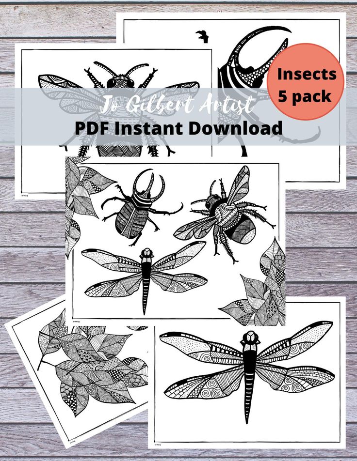 Insect coloring pages pdf download coloring book printable print color at home instant download